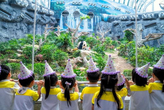 圖為澳門孩子們?yōu)榇笮茇垺敖〗　?、“康康”獻(xiàn)唱生日歌。澳門特區(qū)政府市政署供圖